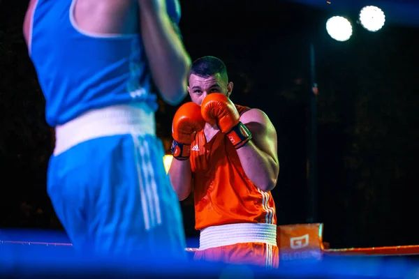 Bogdan Tolmachev Gegen Arman Darchinyan Während Eines Boxkampfes Zwischen Den — Stockfoto
