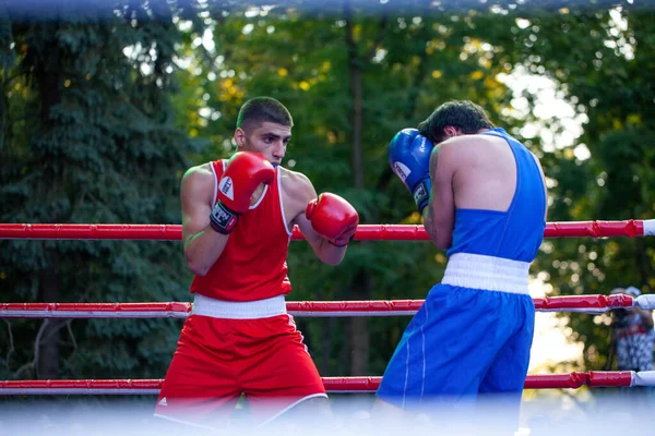 Chulyacheev Oleg Zhorzhik Marutyan Během Boxerského Utkání Mezi Národními Týmy — Stock fotografie
