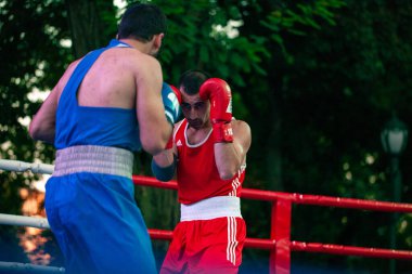 Hakimler, Ukrayna - Ermenistan milli takımları arasındaki boks maçında Harkov Günü onuruna çalışıyorlar. Shevchenko Parkı, Harkov, Ukrayna, 23.08.2020