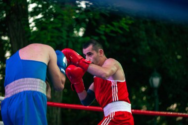 Hakimler, Ukrayna - Ermenistan milli takımları arasındaki boks maçında Harkov Günü onuruna çalışıyorlar. Shevchenko Parkı, Harkov, Ukrayna, 23.08.2020