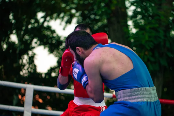 Die Richter Arbeiten Während Des Boxkampfes Zwischen Den Nationalmannschaften Ukraine — Stockfoto