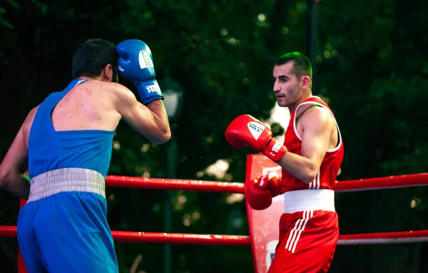 Stepan Oganisyan Contra Gurgen Madoyan Durante Partido Boxeo Entre Las — Foto de Stock