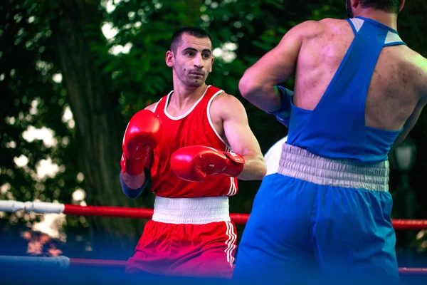 Stepan Oganisyan Contro Gurgen Madoyan Durante Partita Pugilato Tra Squadre — Foto Stock