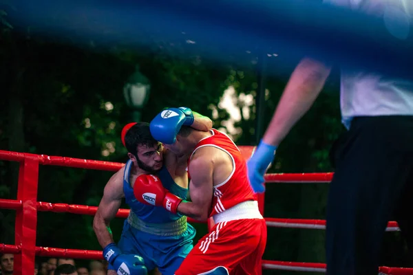 Stepan Oganisyan Contra Gurgen Madoyan Durante Partido Boxeo Entre Las — Foto de Stock