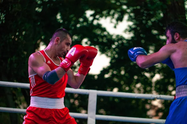 Stepan Oganisyan Contra Gurgen Madoyan Durante Luta Boxe Entre Equipes — Fotografia de Stock