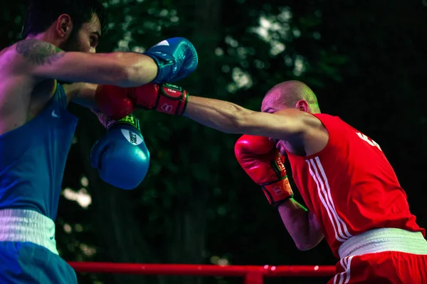 Maxim Pylypets Armen Mashakaryan Během Boxerského Zápasu Mezi Národními Týmy — Stock fotografie