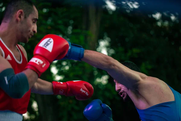 Stepan Oganisyan Gegen Gurgen Madoyan Während Eines Boxkampfes Zwischen Den — Stockfoto