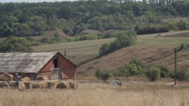 Araba doğa arka planında yolda gidiyor.