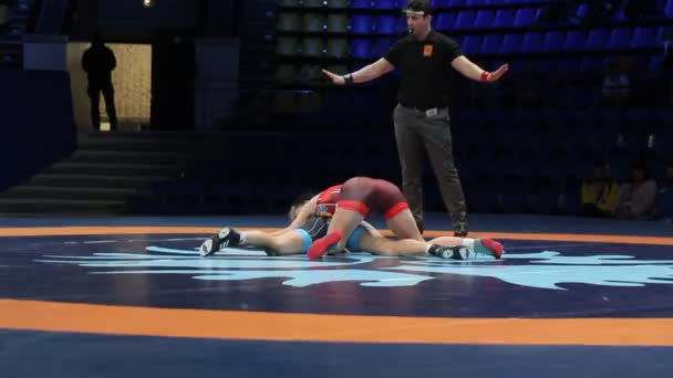 Internazionale Greco Romana Freestyle Torneo Wrestling Xxiv Eccezionali Lottatori Ucraini — Video Stock