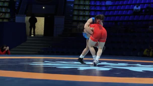 Internationell Greco Romare Freestyle Brottning Turnering Xxiv Enastående Ukrainska Brottare — Stockvideo