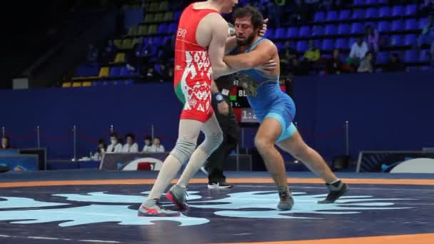 International Greco Roman Freestyle Wrestling Tournament Xxiv Outstanding Ukrainian Wrestlers — Stock Video