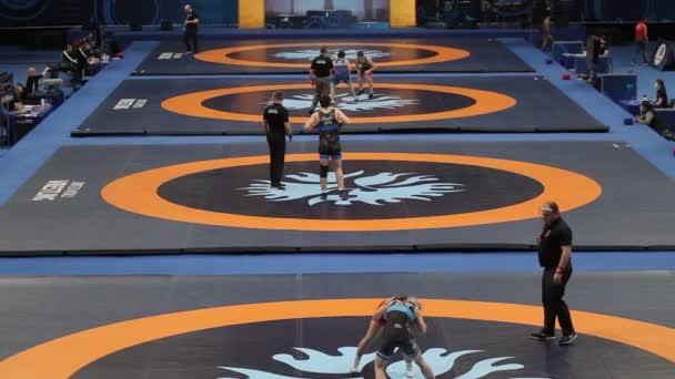 Nemzetközi Greco Római Freestyle Birkózó Torna Xxiv Kiemelkedő Ukrán Birkózók — Stock videók