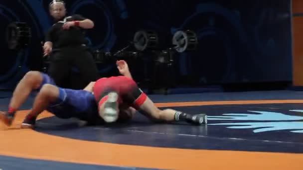 Internationell Greco Romare Freestyle Brottning Turnering Xxiv Enastående Ukrainska Brottare — Stockvideo