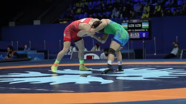 Mezinárodní Greco Roman Freestyle Wrestling Turnaj Xxiv Vynikající Ukrajinských Wrestlerů — Stock video