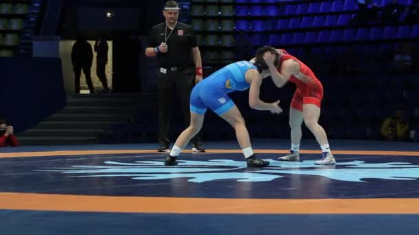 International Greco Roman Freestyle Wrestling Tournament Xxiv Outstanding Ukrainian Wrestlers — Stock Video