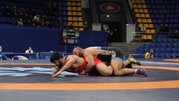 International Greco Roman Freestyle Wrestling Tournament Xxiv Outstanding Ukrainian Wrestlers — Stock Video