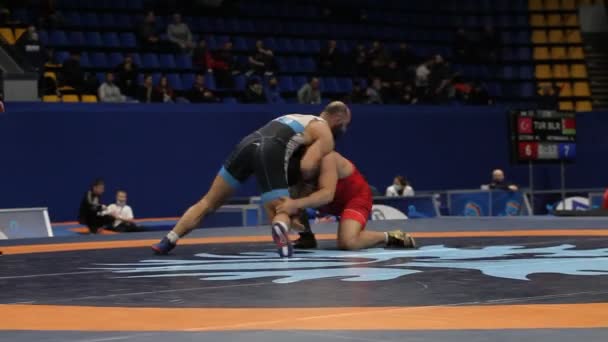 Internazionale Greco Romana Freestyle Torneo Wrestling Xxiv Eccezionali Lottatori Ucraini — Video Stock