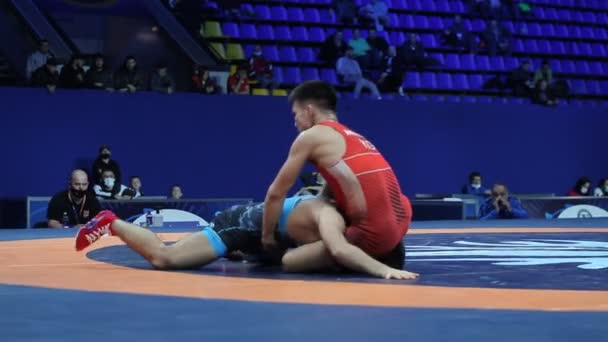 International Greco Roman Freestyle Wrestling Tournament Xxiv Outstanding Ukrainian Wrestlers — Stock Video