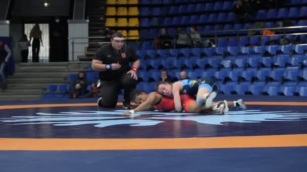 Internationell Greco Romare Freestyle Brottning Turnering Xxiv Enastående Ukrainska Brottare — Stockvideo