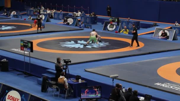 International Greco Roman Freestyle Wrestling Tournament Xxiv Outstanding Ukrainian Wrestlers — Stock Video