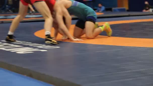 Turneul Internațional Greco Roman Freestyle Wrestling Xxiv Luptători Antrenori Ucraineni — Videoclip de stoc