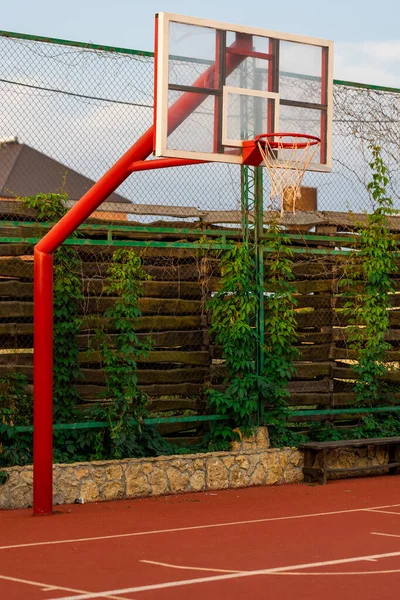 Rode Basketbal Met Net Met Groene Bladeren Achtergrond Sport Concept — Stockfoto