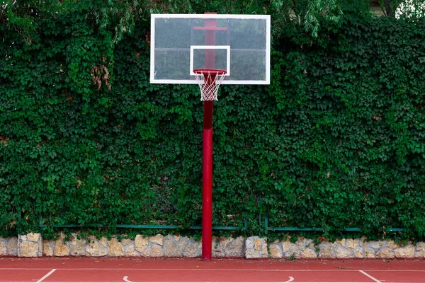 Червоний Баскетбольний Кільце Сіткою Фоном Зеленого Листя Спортивна Концепція — стокове фото