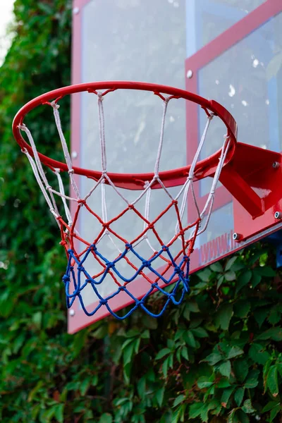 Rode Basketbal Hoepel Met Net Met Groene Bladeren Achtergrond Sport — Stockfoto