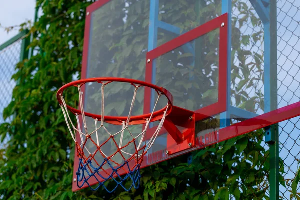 Rode Basketbal Hoepel Met Net Met Groene Bladeren Achtergrond Sport — Stockfoto