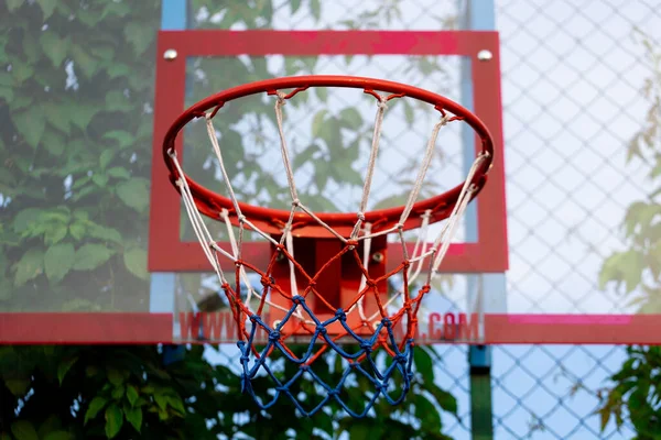Rode Basketbal Hoepel Met Net Met Groene Bladeren Achtergrond Sport — Stockfoto