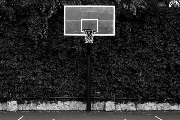 Aro Basquete Vermelho Com Rede Com Fundo Folhas Verdes Conceito — Fotografia de Stock