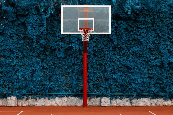 Κόκκινο Στεφάνι Μπάσκετ Δίχτυ Πράσινα Φύλλα Στο Φόντο Αθλητική Έννοια — Φωτογραφία Αρχείου