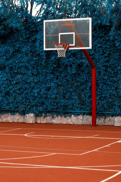 Red basketball hoop with net with green leaves background. Sport concept