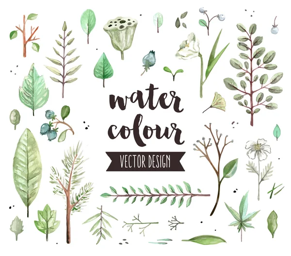 Plants Leaves Watercolor icons — Stock Vector