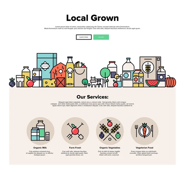 Farm grown food web graphics — Stockvektor