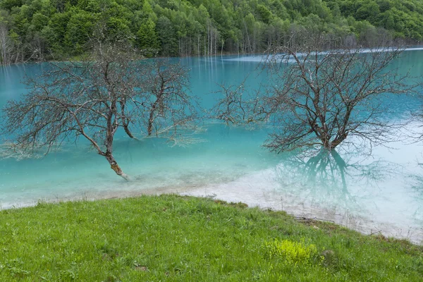 Blue lagoon and trees — Stock Photo, Image