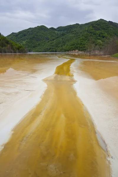 Poluted water — Stock Photo, Image