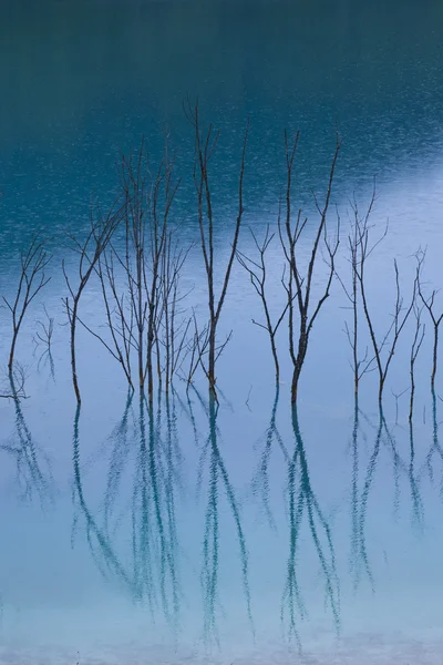 Blauwe water reflectie — Stockfoto