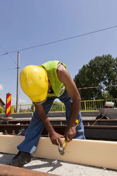 No trabalho. — Fotografia de Stock