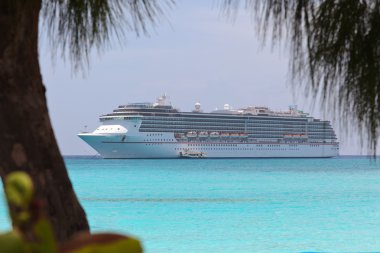 cruise gemi uzaktan