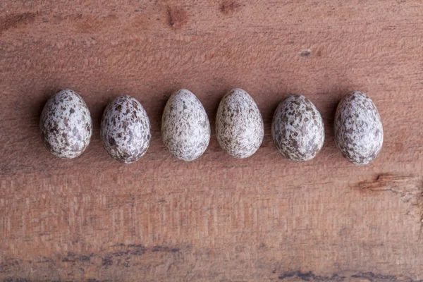 Línea de huevos de gorrión —  Fotos de Stock