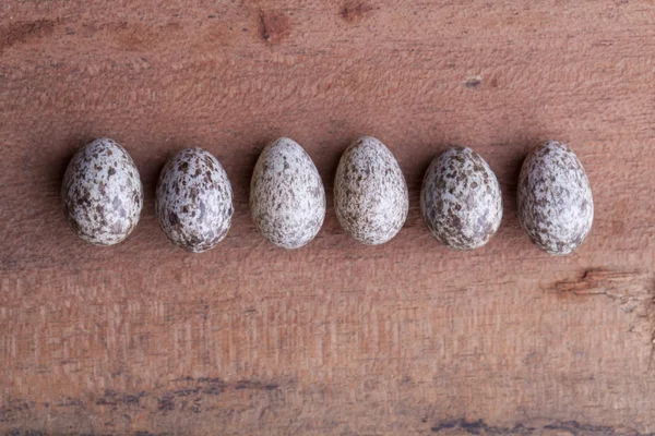 Лінія горобцевих яєць Стокове Фото