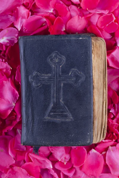 Bible on roses — Stock Photo, Image