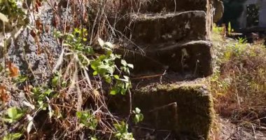 Çökmüş çatılı ve camları kırık bir ev. Bina, binanın içine düşen ahşap kirişlerle harap olmuş. İzleme görüntüsü.