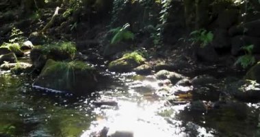 Kayaların üzerinde yosun yetişen bir dere. Su temiz, yosun da yeşil. Sahne huzurlu ve huzurlu. Sol tarafı çevir.