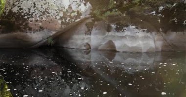 Güneşi yansıtan bir su kütlesiyle kayalık bir kıyı şeridi. Su sakin ve güneş parlıyor.