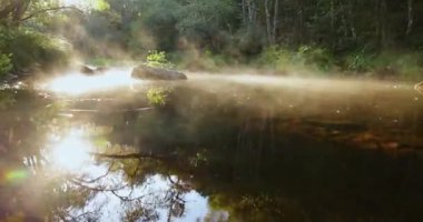 Parlak yemyeşil bir ormanda, gün doğumunda sisli berrak bir su nehri. Sis yüzeyden yükseliyor ve bir yansıma oluşturuyor. Yukarı kaldır..