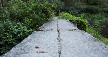 Arka planda yeşil bir orman olan bir nehrin üzerindeki taş bir ortaçağ köprüsü. Köprü eski ve yıpranmış görünüyor. Düşük açı izleme görüntüsü.