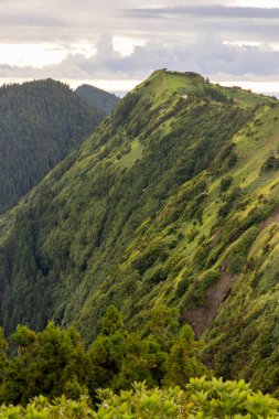 Sete Cidades, Azores 'de yeşil yamaçlı bir dağ. Yamaç yemyeşil ve yemyeşil ve dağ ağaçlarla kaplı..