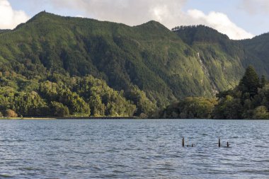 Sete Cidades, Azores 'in arka planında dağlar olan güzel bir göl. Su sakin ve berrak. Dağlar ağaçlarla kaplı ve gökyüzü mavi